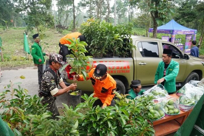 Bantuan salurkan bibit Alpokat di Boyolali
