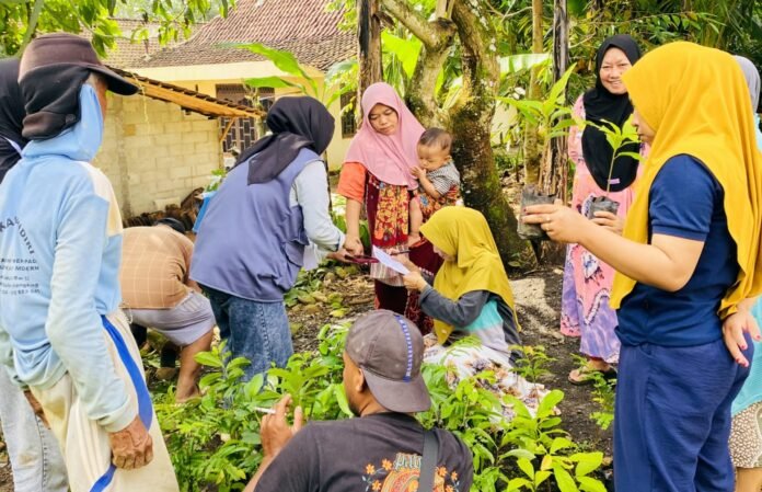 penanaman bibit 450 pohon