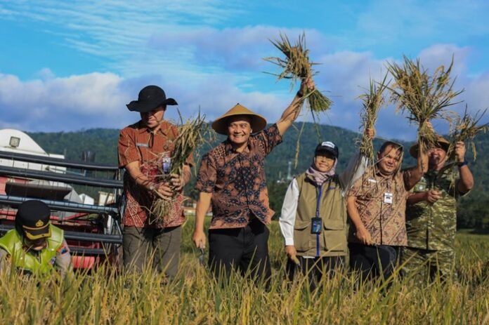 Gubernur Jateng Ahmad Luthfi ketika panen raya di Desa Jambu Kab Semarang