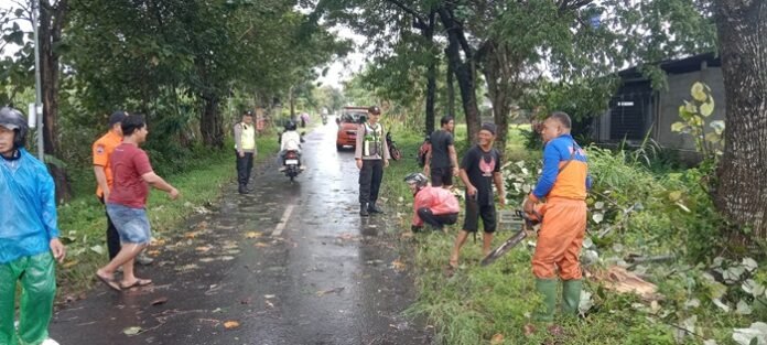 BPBD, TNI, Polri dan para relawan membersihkan material pohon tumbang yang sempat menutup jalan.
