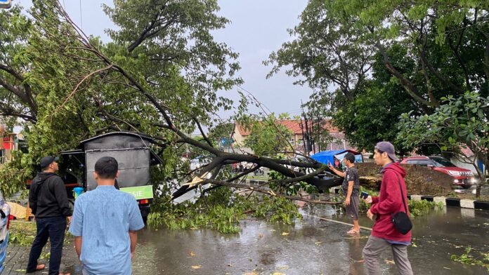 Pohon tumbang di Jalan Suratmo Raya, Kelurahan Manyaran, Semarang Barat, Kota Semarang, Rabu (4/3/2026). (Foto:dok Warga)