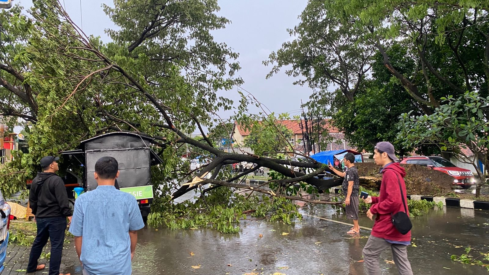 Pohon tumbang Pohon tumbang di Jalan Suratmo Raya, Kelurahan Manyaran, Semarang Barat, Kota Semarang, Rabu (4/3/2026). (Foto:dok Warga)