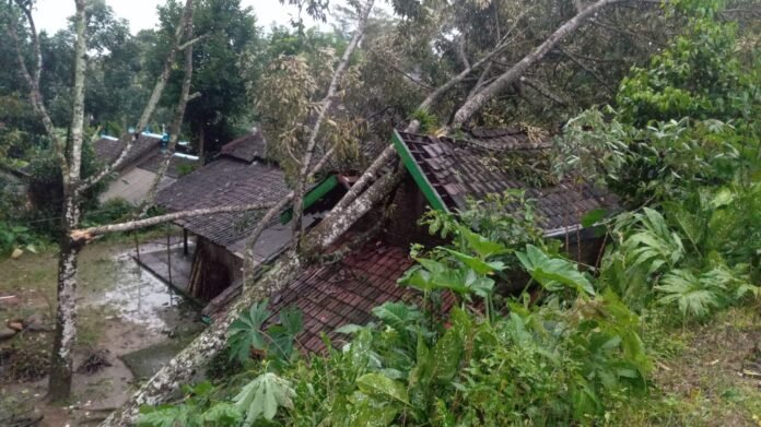 Rumah warga tertimpa pohon akibat puting beliung yang menerjang Karanganyar. (Foto : Dokumen BPBD)