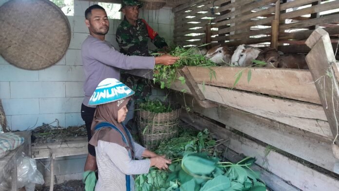 Kepedulian Satgas TMMD Reguler ke-127 Kodim 0709/Kebumen kembali terlihat di Desa Somagede. (Foto : Dokumen)