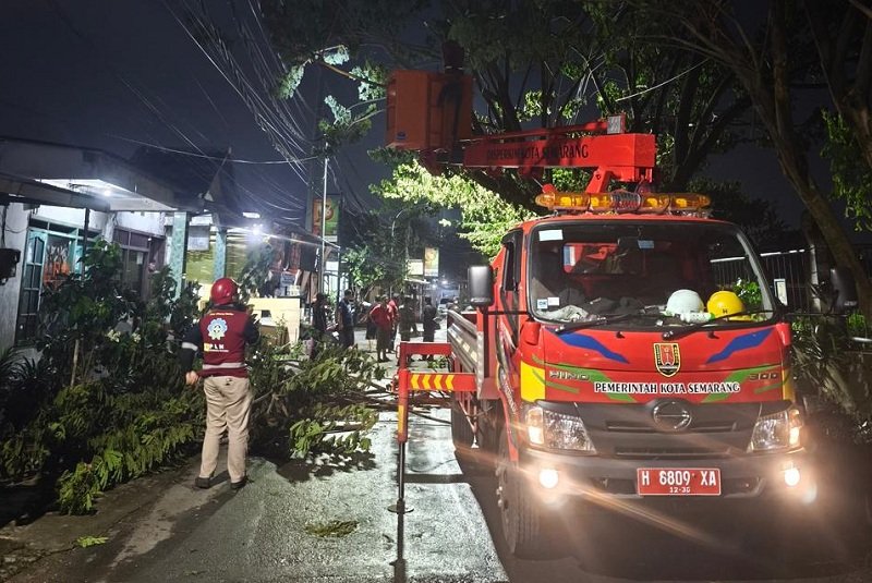 PLN Jateng PLN Jateng perbaiki jaringan listrik