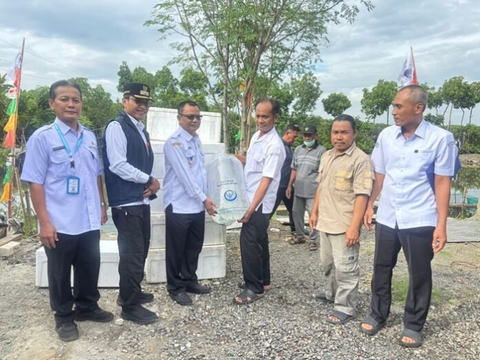 Pemberian benih kakap putih