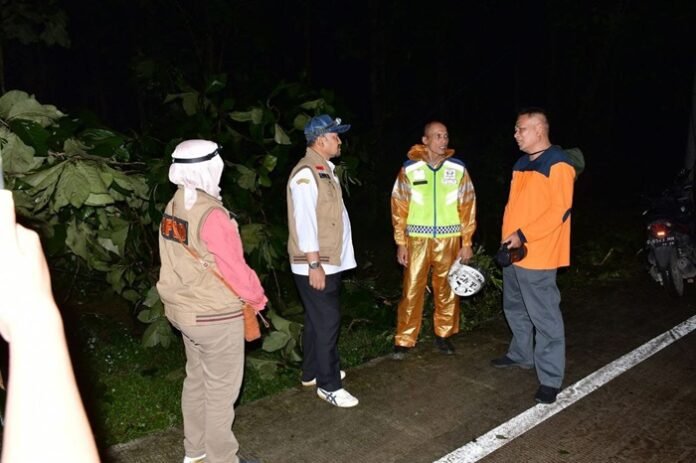 Bupati Pemalang ketika meninjau lokasi pohon tumbang