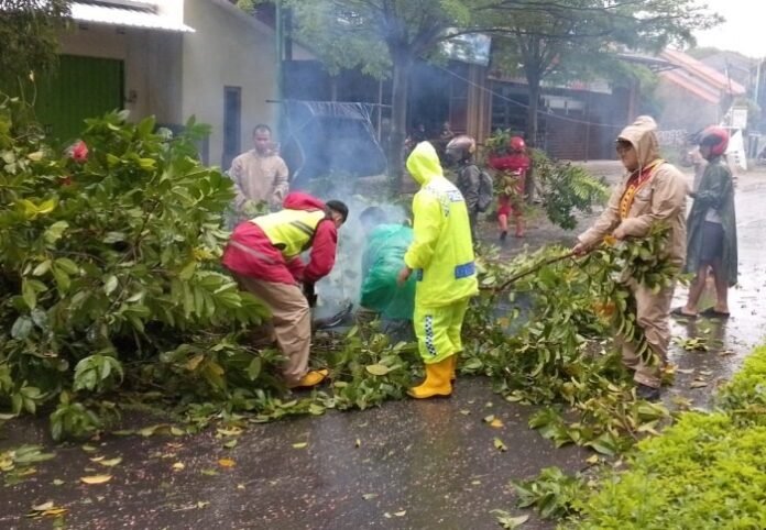 Personel gabungan ketika tangani pohon tumbang