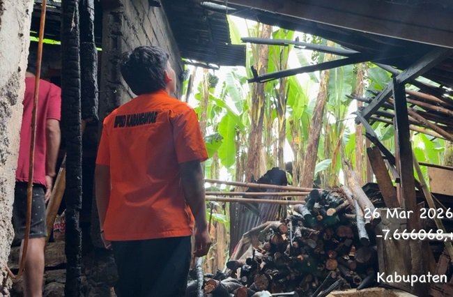 WhatsApp Image 2026-03-26 at 14.32.22 Kandang sapi terbakar