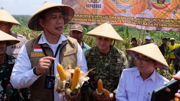 Perum BULOG turut hadir dan berperan aktif dalam kegiatan Panen Raya Jagung Kuartal I dan Tanam Jagung Serentak Kuartal II yang dilaksanakan di Kecamatan Randublatung, Kabupaten Blora. (Foto : Dokumen)