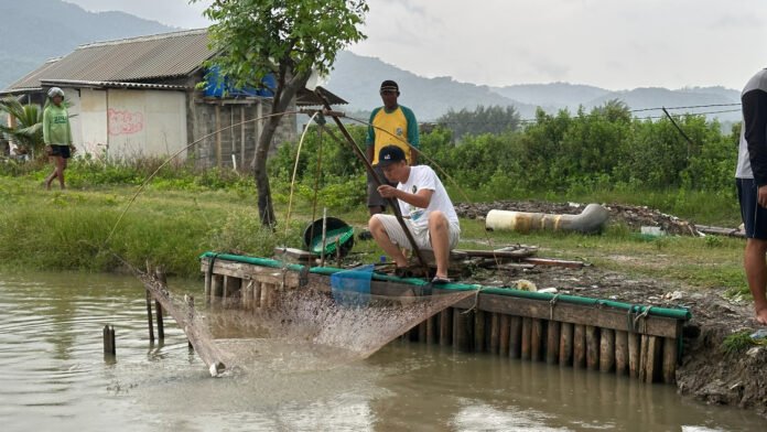 Tambak Bandeng Kalingga, mitra binaan TJSL PLN UIK Tanjung Jati B. (Foto : Dok PLN)
