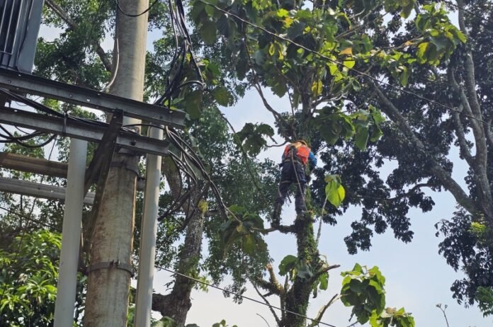 Petugas PLN Salatiga lakukan pemeliharaan