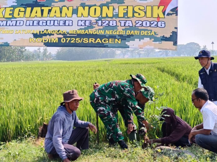 Penanaman 500 pohon buah bersama anggota Satgas TMMD Kodim 0725/Sragen. (TMMD Sragen)