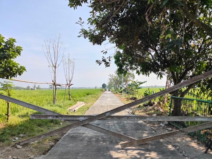 Jalan cor baru di area persawahan Desa Puro, masih terlihat beberapa titik jalan yang sengaja ditutup sementara. (Foto : Dok TMMD Sragen)