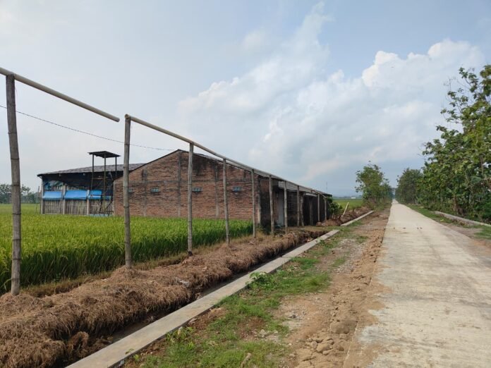 Jalan cor yang kini mulus membelah area persawahan Desa Puro. (Foto : Dok TMMD Sragen)