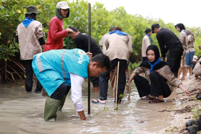 Perwakilan PLN UIK Tanjung Jati B bersama peserta aksi melakukan penanaman bibit mangrove di kawasan pesisir Pantai Mororejo, Kecamatan Mlonggo, Kabupaten Jepara, Sabtu (17/5). Kegiatan ini menjadi upaya nyata memperkuat benteng alami pantai dari abrasi, memulihkan ekosistem pesisir, serta mendukung keberlanjutan lingkungan bagi masyarakat sekitar. (Foto : Dok PLN)