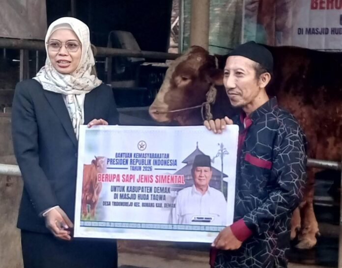 Masyarakat Kabupaten Demak menerima bantuan kemasyarakatan berupa sapi kurban dari Presiden Republik Indonesia Prabowo Subianto. (Foto : Sam)