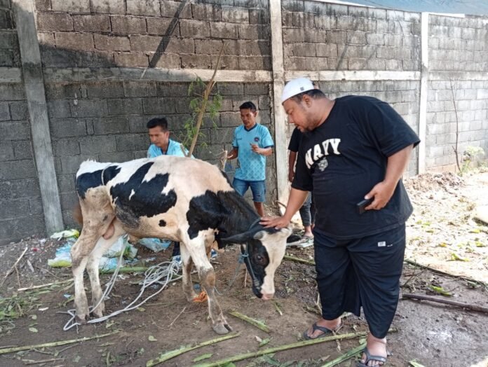 Ketua Yayasan Bina Keluarga Sehat Sejahtera, Rizky Wicaksono saat menyerahkan sapi kurban di SPPG Karanganyar Kecamatan Tugu Kota Semarang, Kamis (28/06/2026). (Foto : Dok JN)
