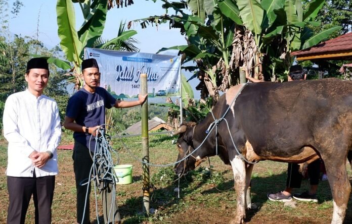 PLN Salatiga serahkan hewan qurban