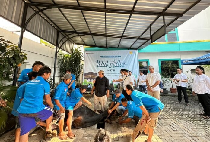 PLN Semarang pelaksanaan hewan kurban