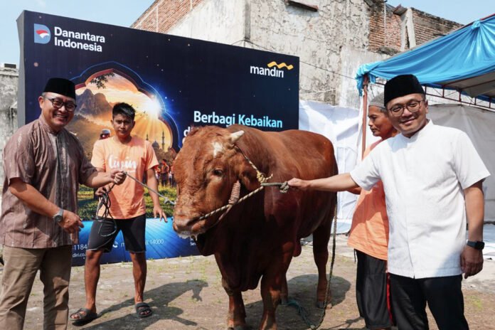 Bank Mandiri Region VII / Jawa 2 turut mendistribusikan 315 ekor kambing/domba dan 57 ekor sapi kurban di 20 titik. (Foto : Dok Bank Mandiri)