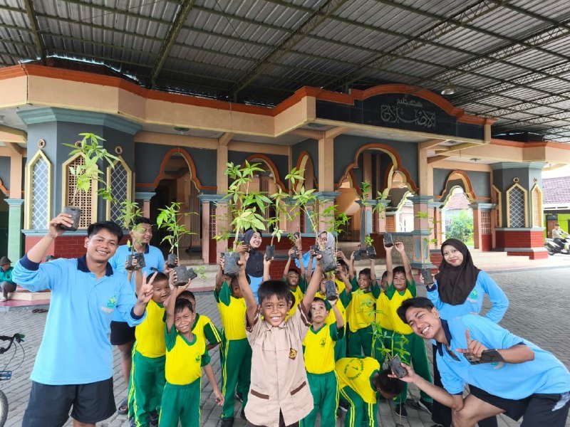Bibit pohon penghijauan KKN KKN UIN WS bibit penghijauan