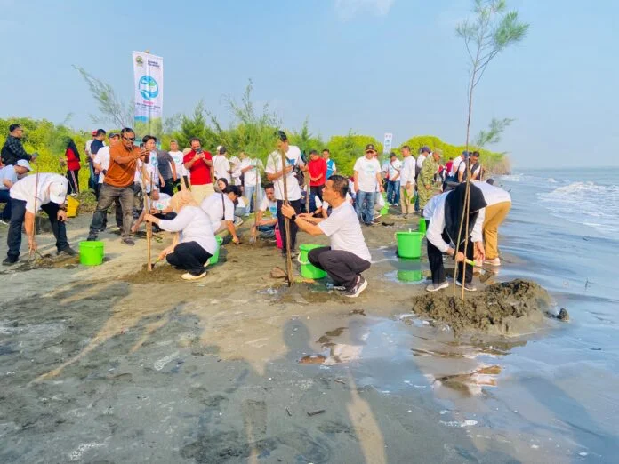 PT PLN Indonesia Power (PLN IP) Unit Bisnis Pembangkitan (UBP) Semarang berkolaborasi dengan Pemerintah Provinsi Jawa Tengah melakukan Mageri Segoro, sebanyak 2.000 bibit mangrove ditanam secara serentak. (Foto : Dok PLN)