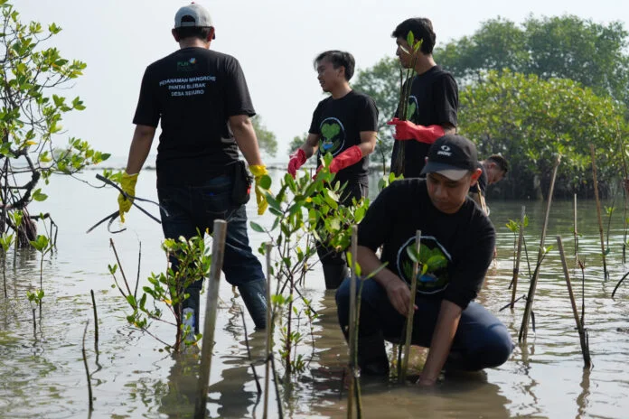Officer TJSL PLN UIK Tanjung Jati B, Desta Andri Muryono, bersama volunteer pegawai melakukan penanaman bibit mangrove di kawasan Pantai Blebak, Desa Sekuro, Kecamatan Mlonggo, Kabupaten Jepara, Rabu (10/6). Aksi ini menjadi bagian dari program konservasi pesisir dalam momentum Hari Lingkungan Hidup Sedunia, sebagai bentuk kepedulian PLN UIK Tanjung Jati B terhadap pemulihan ekosistem pantai dan upaya mengurangi dampak abrasi.