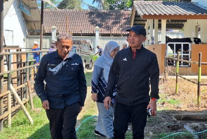 Ketua DPRD Jateng Sumanto saat melakukan kunjungan kerja ke Taman Ternak Satuan Kerja (Satker) Ayam Maron yang berlokasi di Kabupaten Temanggung, belum lama ini. (Foto : Dok DPRD Jateng)