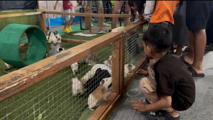 Mini zoo dari The Fantastic Beach Safari Batang di Jateng Fair 2026.