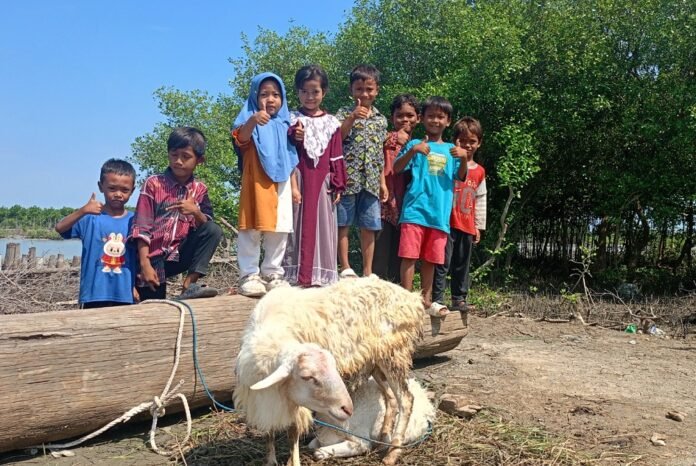 Lazis Jateng salurkan hewan kurban