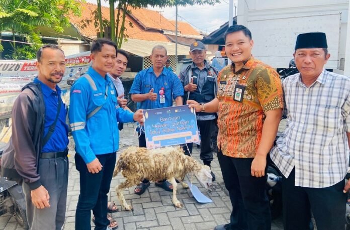 PLN IP Semarang salurkan hewan kurban