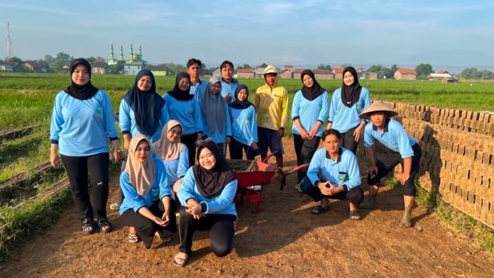 promoasi batu bata KKN UIN WS