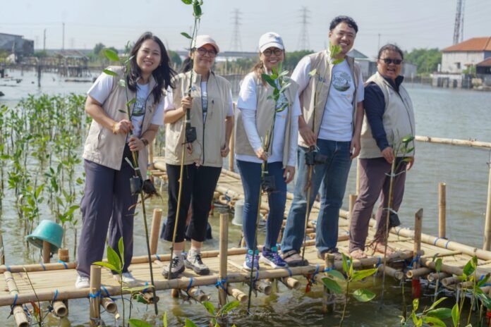 Rotary Club of Semarang Bimasena melakukan penanaman Mangrove di Tambak Rejo Semarang
