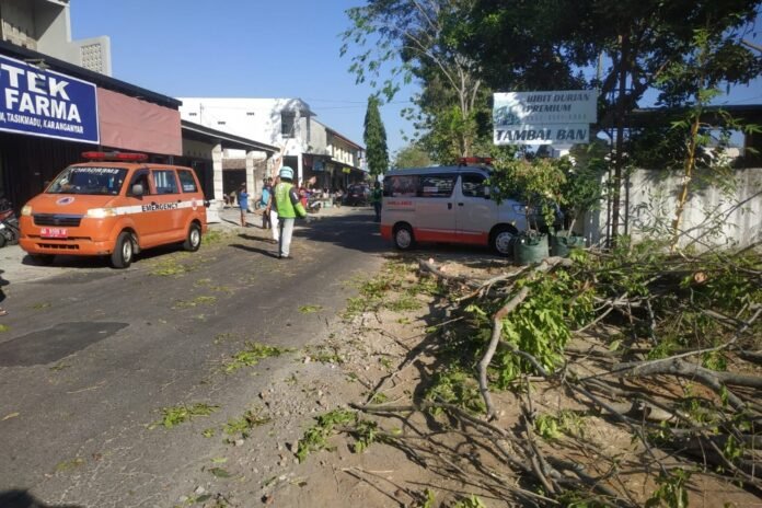 BPBD Karanganyar melakukan pembersihan material pohon tumbang. (Foto : Dokumen BPBD)