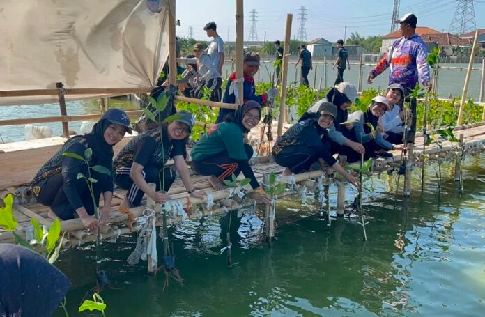 Universitas Telogorejo bersama Organisasi Mahasiswa (ORMAWA) saat melakukan penanaman Mangrove di Kampung Tambakrejo, Semarang