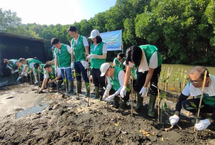 Jajaran direksi dan senior management BAF melakukan penanaman bibit mangrove di Pantai Mangunharjo, Semarang