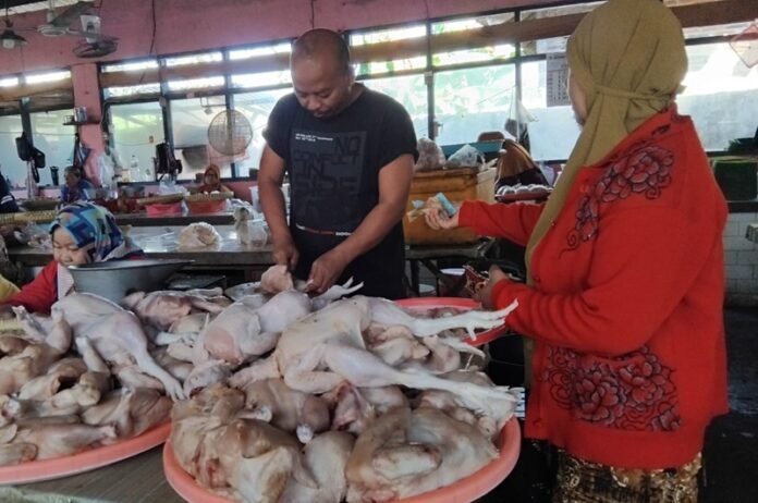 Pedagang ayam potong Pasar Jongke, Supriyanto (Foto:Iwan)