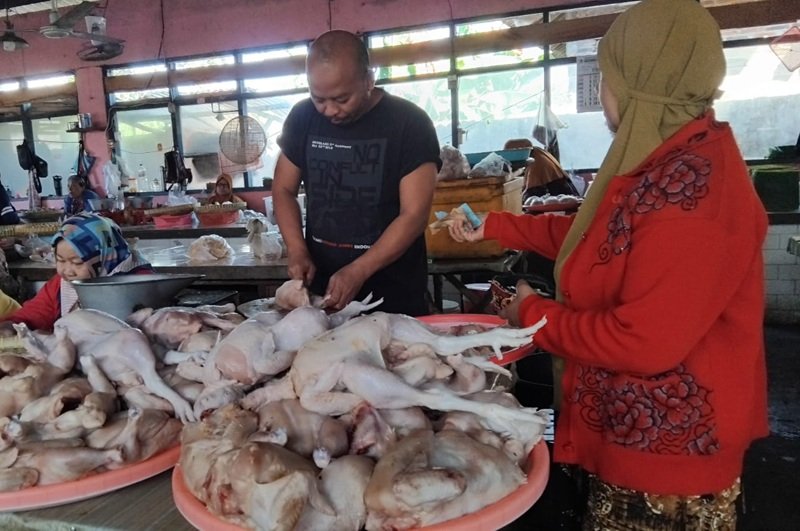 pedagang ayam potong Pedagang ayam potong Pasar Jongke, Supriyanto (Foto:Iwan)