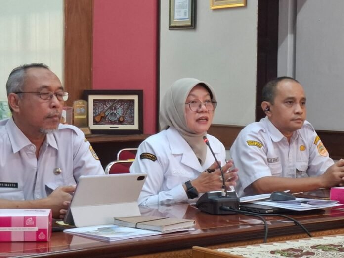 Kepala DPMPTSP Jawa Tengah, Sakina Rosellasari