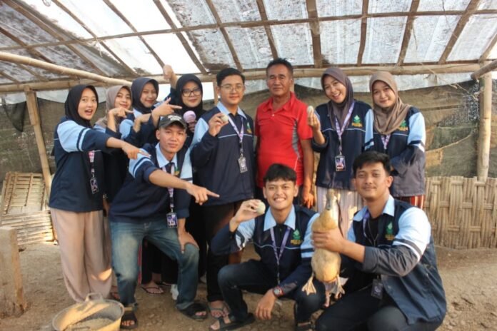 KKN UIN WS peternak bebek