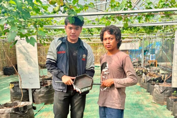 Mahasiswa Kuliah Kerja Nyata (KKN) Tim II Tahun 2026 Universitas Diponegoro sukses menyelenggarakan program kerja unggulan bertema Optimalisasi Pengelolaan Sampah Plastik melalui Pembuatan Paving Block sebagai Upaya Mewujudkan Lingkungan Berkelanjutan di Desa Gandu. (Foto : Dok KKN)