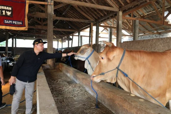 Komisi B DPRD Provinsi Jateng memantau lokasi budidaya sapi di Bulukerto, Kabupaten Wonogiri.
