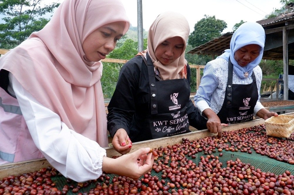 PLN Salatiga Srikandi PLN UP3 Salatiga menggelar Coffee Workshop bagi Kelompok Wanita Tani (KWT) Desa Sepakung, Kabupaten Semarang,