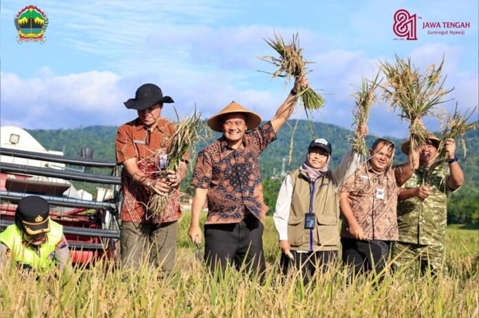 Gubernur Jateng Ahmad Luthfi ketika panen raya