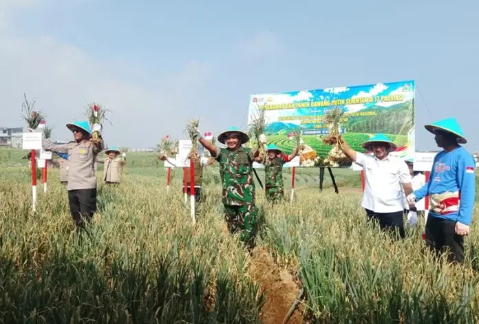 Wakapolda Jawa Tengah Brigjen Pol Latif Usman bersama Bupati Karanganyar Rober Christanto melakukan panen bersama bawang putih di Dusun Pancot, Kecamatan Tawangmangu Karanganyar