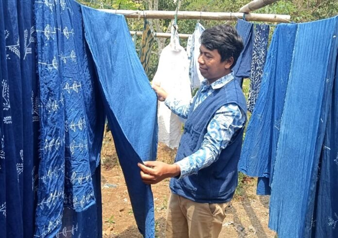 saiful nurudin tinctori