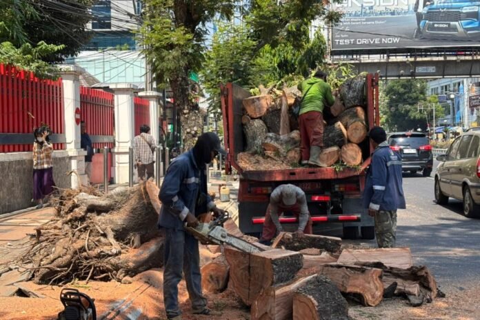 Suasana insiden pohon tumbang di Jalan Pandanaran Kota Semarang, Jumat (4/9/2026). (Foto: Kamal)