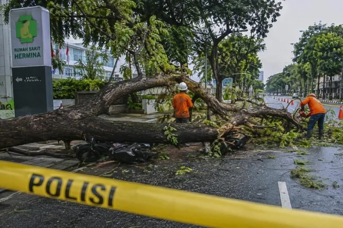 Ilustrasi pohon tumbang di Jalan Pandanaran Kota Semarang. (Foto: AI)